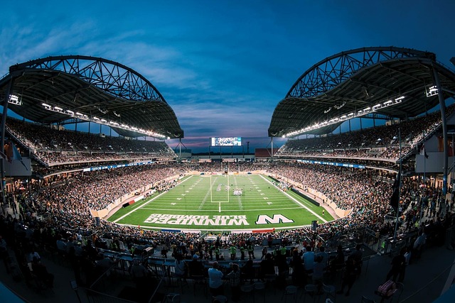 意味着他还 意味着他还