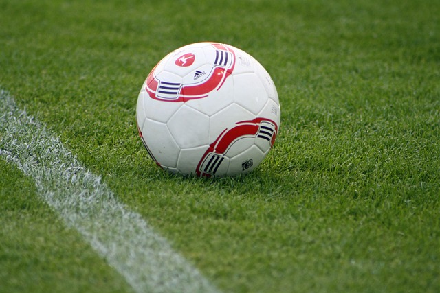 的领先地位 的领先地位