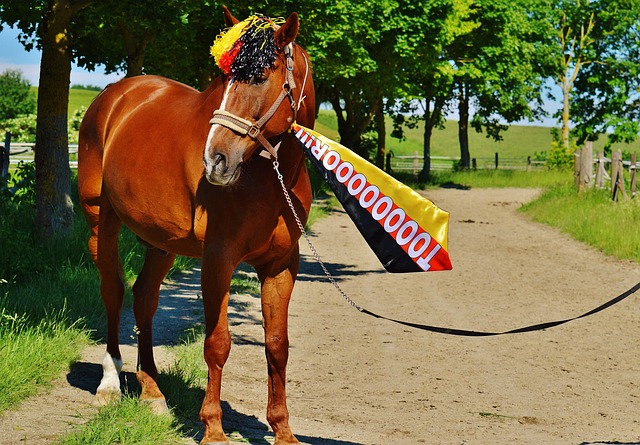 呂迪格的去 呂迪格的去