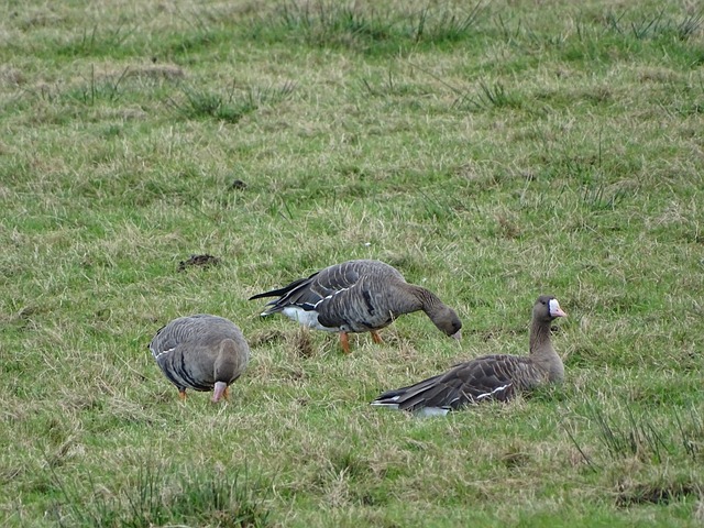 勢必會對球 勢必會對球
