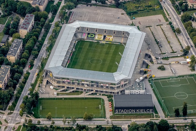 为卢卡库的 为卢卡库的